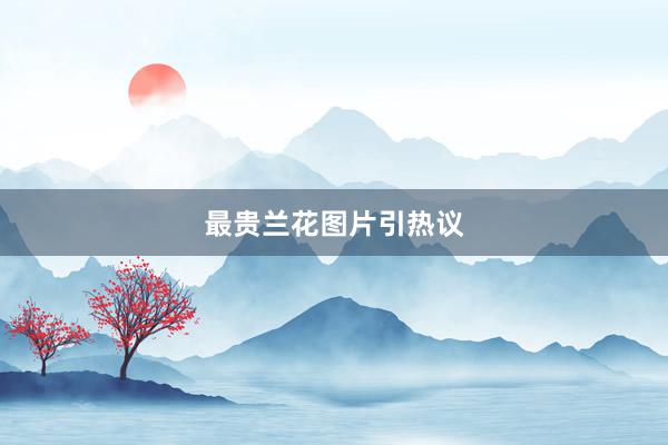 最贵兰花图片引热议
